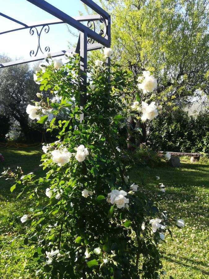 Casa Marilu Villa Santa Maria di Castellabate Buitenkant foto