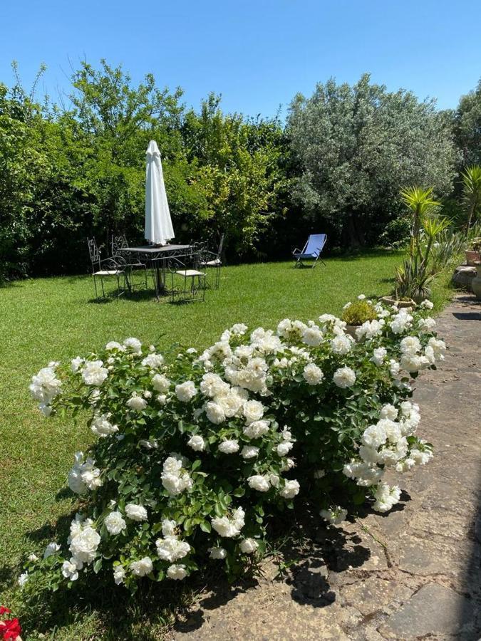 Casa Marilu Villa Santa Maria di Castellabate Buitenkant foto
